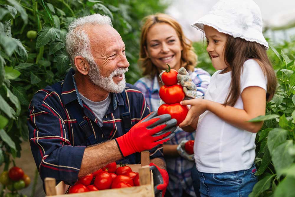 Ellastone Financial Planning, Helping you to grow your nest egg